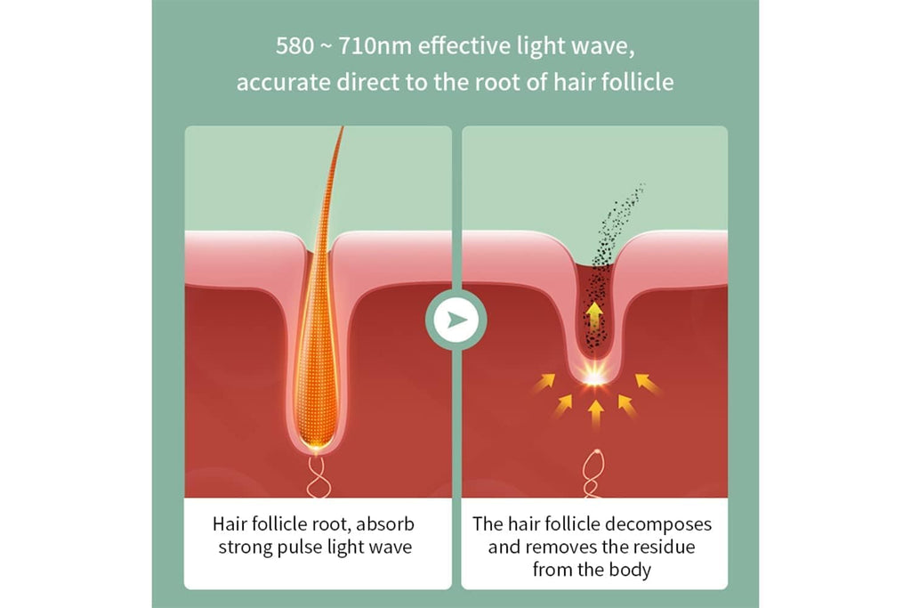 Diagram showing hair follicle absorption of light wave and decomposition process.